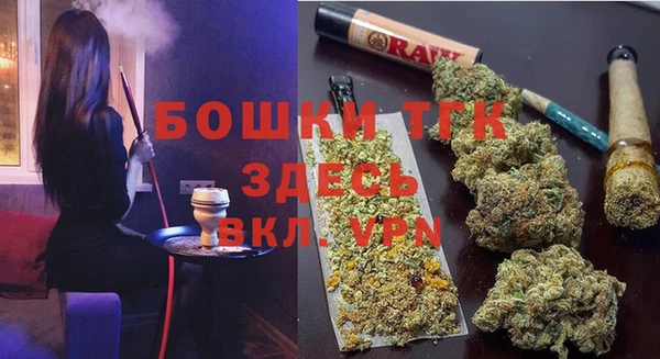 крисы Алексин