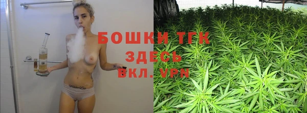 крисы Алексин