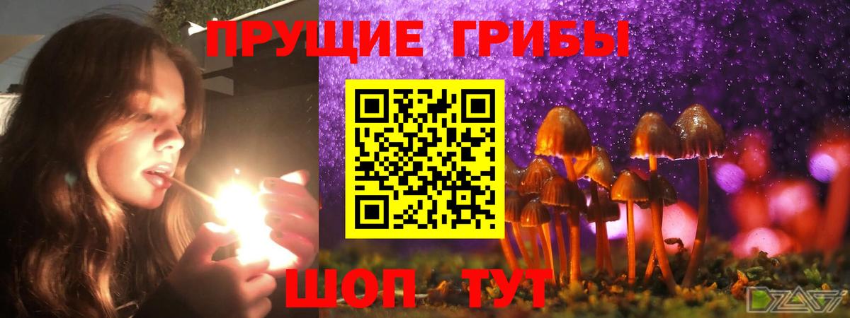 Псилоцибиновые грибы MAGIC MUSHROOMS Балабаново